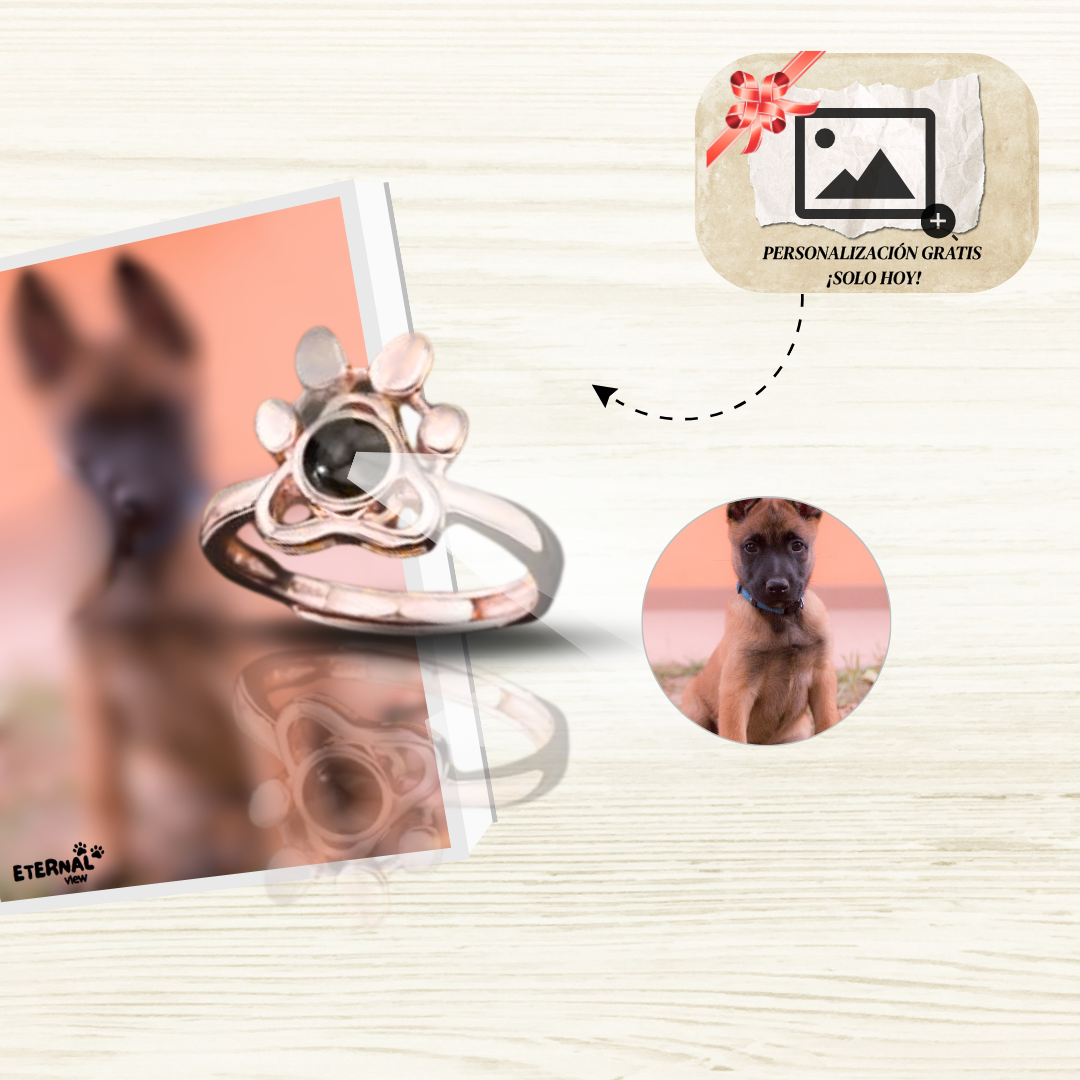 Anillo Recuerdo Eterno