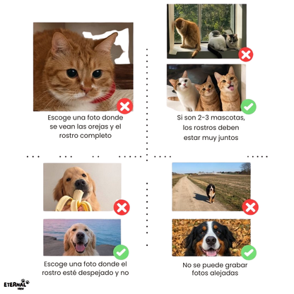 Anillo Recuerdo Eterno