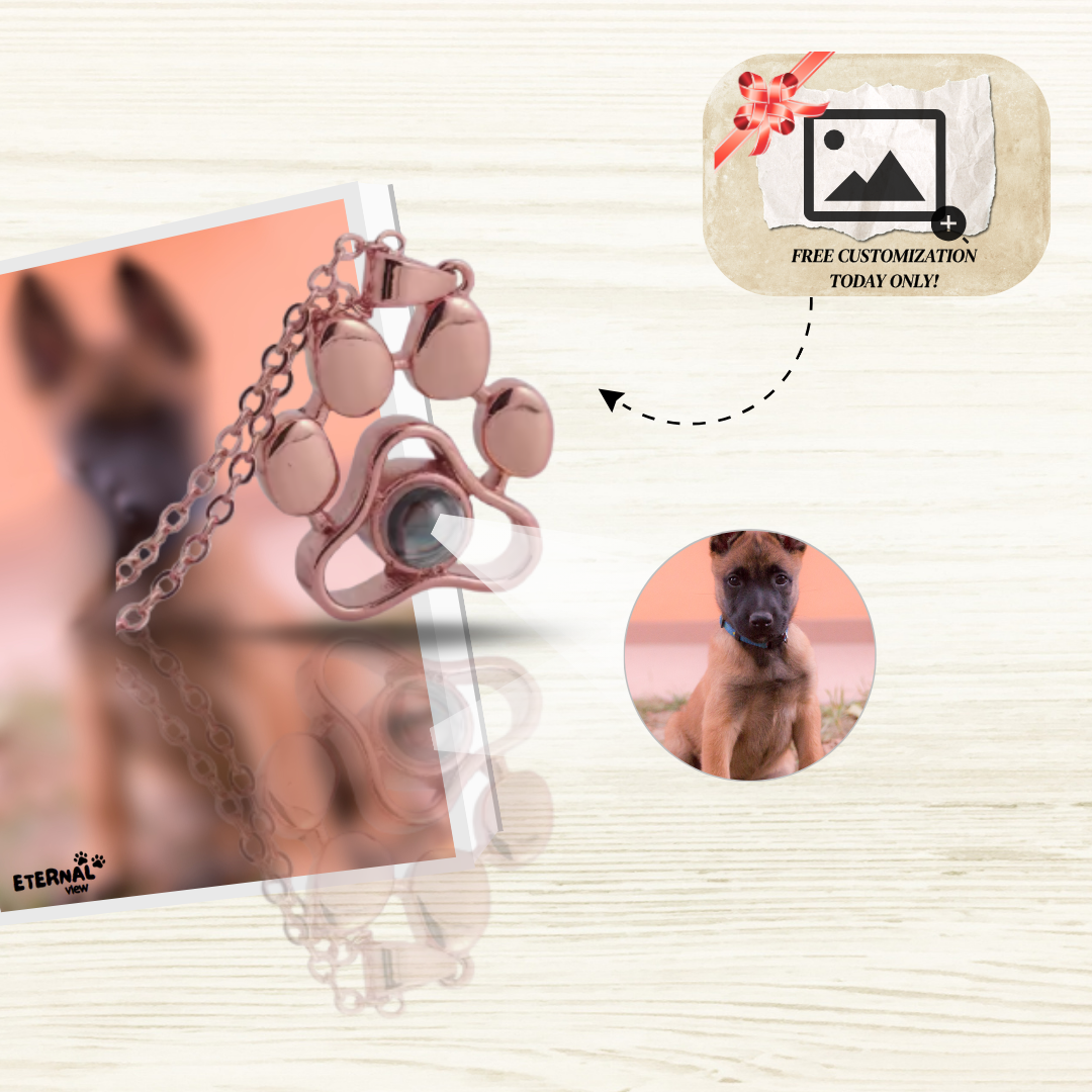 Paw Print Memory Necklace