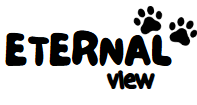 eternalview méxico 