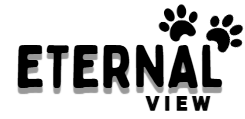 Eternal View A.